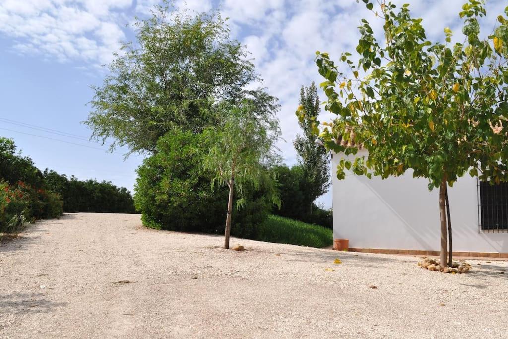 Casa Rural La Linana コルドバ エクステリア 写真