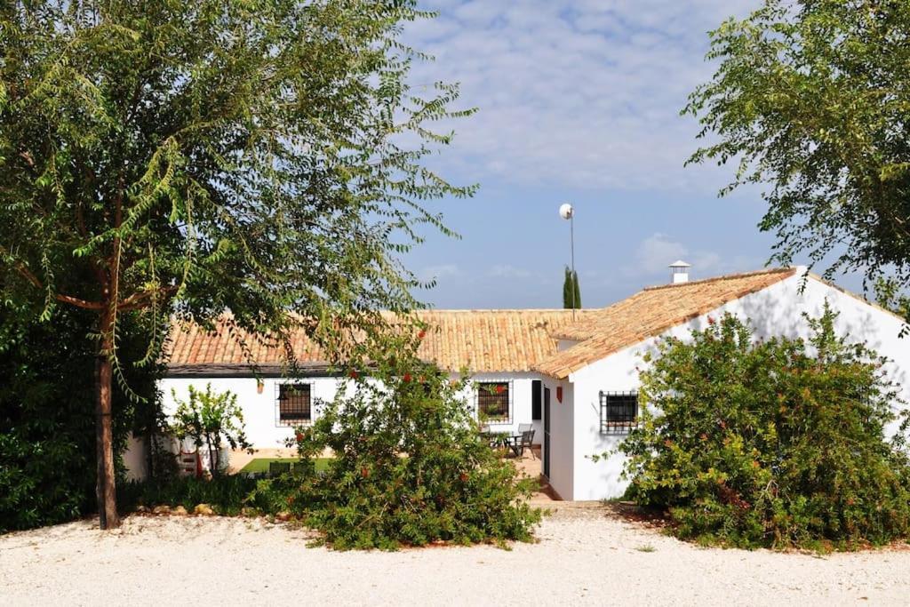 Casa Rural La Linana コルドバ エクステリア 写真
