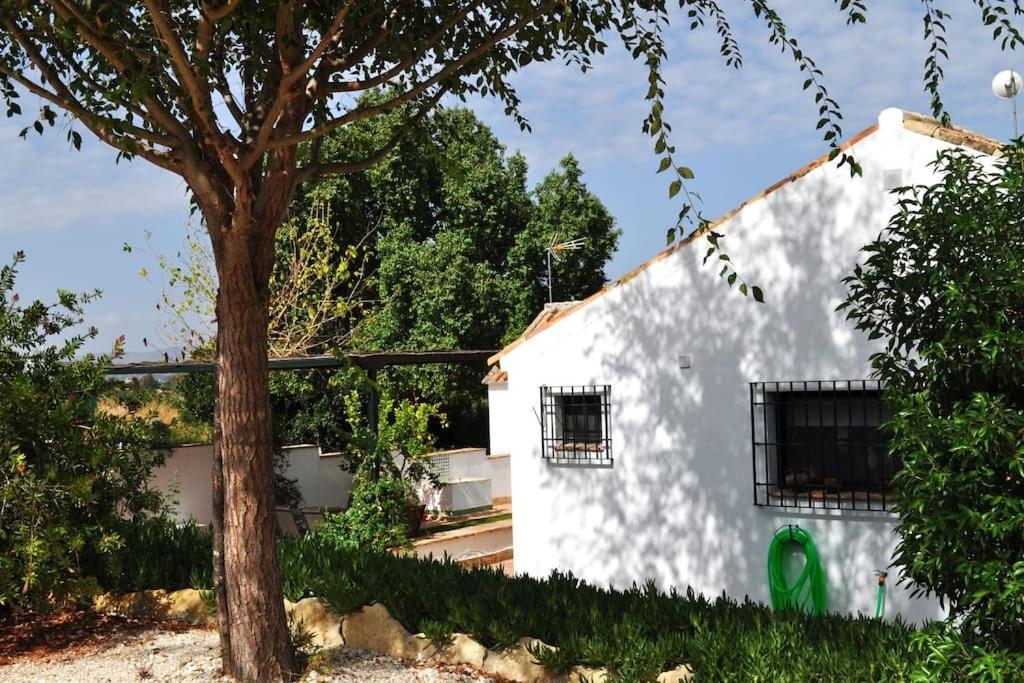 Casa Rural La Linana コルドバ エクステリア 写真